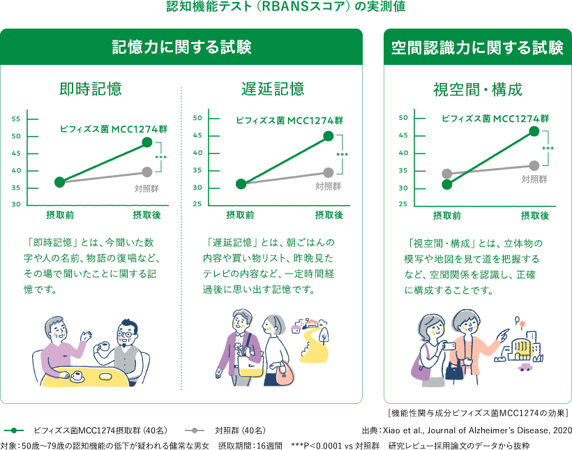 認知機能テスト（RBANSスコア）の実測値 即時記憶 ビフィズス菌MCC1274群 対照群 摂取前 摂取後 「即時記憶」とは、今聞いた数字や人の名前、物語の復唱など、その場で聞いたことに関する記憶です。 遅延記憶 ビフィズス菌MCC1274群 対照群 摂取前 摂取後 「遅延記憶」とは、朝ごはんの内容や買い物リスト、昨晩見たテレビの内容など、一定時間経過後に思い出す記憶です。 視空間・構成 「視空間・構成」とは、立体物の模写や地図を見て道を把握するなど、空間関係を認識し、正確に構成することです。 [機能性関与成分ビフィズス菌MCC1274の効果] ビフィズス菌MCC1274摂取群（40名） 対照群（40名） 出典：Xiao et al., Journal of Alzheimer’s Disease, 2020 対象：50歳～79歳の認知機能の低下が疑われる健常な男女　摂取期間：16週間　***P＜0.0001 vs 対照群　研究レビュー採用論文のデータから抜粋